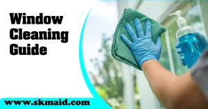 window-cleaning-guide