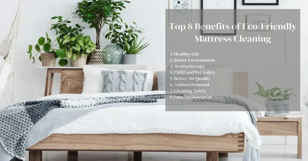 eco friendly mattress cleaning